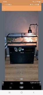 Terrium met kast of los, Dieren en Toebehoren, Reptielen en Amfibieën | Toebehoren, Ophalen