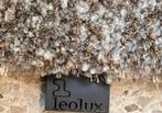 Leolux Amund tapijt Seal 240 x 340 NIEUW, Ophalen, Nieuw, Rechthoekig, 200 cm of meer