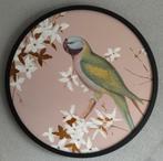 Mica rond schilderij met vogel papegaai parkiet 60cm, 50 tot 75 cm, Ophalen of Verzenden, Zo goed als nieuw, Schilderij
