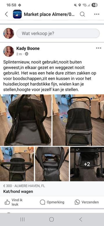 kat/hond wagen beschikbaar voor biedingen