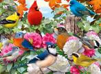 3D Puzzle Vogels 500 Stukjes, Ophalen of Verzenden, 500 t/m 1500 stukjes, Zo goed als nieuw