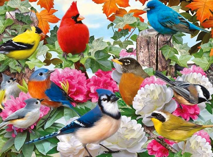 3D Puzzle Vogels 500 Stukjes, Hobby en Vrije tijd, Denksport en Puzzels, Zo goed als nieuw, 500 t/m 1500 stukjes, Ophalen of Verzenden