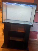 Aqarium met toebehoren, Ophalen, Zo goed als nieuw, Leeg aquarium