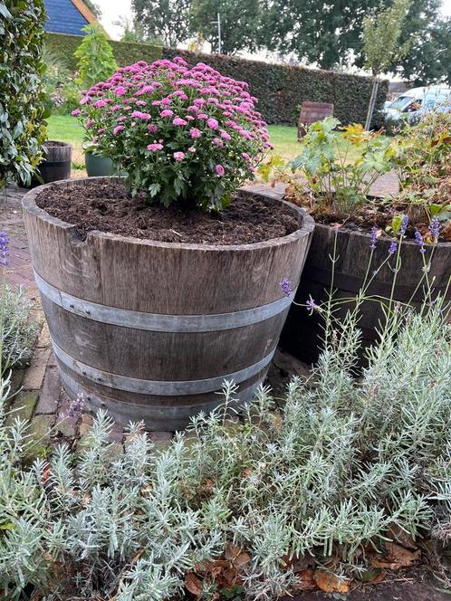 Bloembak eiken half wijnvat Whiskyvat  palmboom, Tuin en Terras, Bloembakken en Plantenbakken, Nieuw, Hout, Binnen, Balkon, Tuin