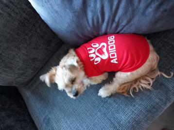Honden shirtjes bedrukken  beschikbaar voor biedingen
