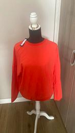 Sweater van 10 days met het prijskaartje, Maat 38/40 (M), 10days, Nieuw, Ophalen of Verzenden