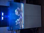 Zeeaquarium helemaal compleet 300L, Ophalen, Gebruikt, Gevuld zeewateraquarium
