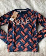 DJ Dutch Jeans- maat 146- NIEUW, Meisje, Nieuw, Ophalen of Verzenden, Trui of Vest