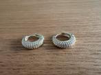 Oorbellen/klapcreolen zilverkleurige Tosh, Sieraden, Tassen en Uiterlijk, Oorbellen, Overige materialen, Hangers, Ophalen of Verzenden