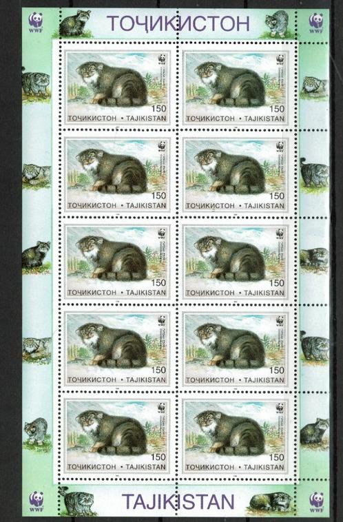 tadzjikistan 96 pf blok manul katachtige wildlife zoogdieren, Postzegels en Munten, Postzegels | Thematische zegels, Postfris