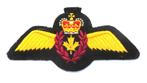 Militair vliegerembleem Piloten Wing Canadian Air Force RCAF, Ophalen of Verzenden, Luchtmacht, Overige gebieden, Embleem of Badge