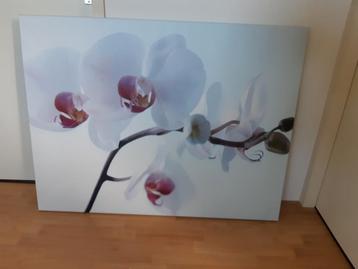 Canvas schilderij bloem canvas bloem beschikbaar voor biedingen