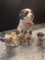 Sint Bernard, Verzamelen, Ophalen of Verzenden, Dier