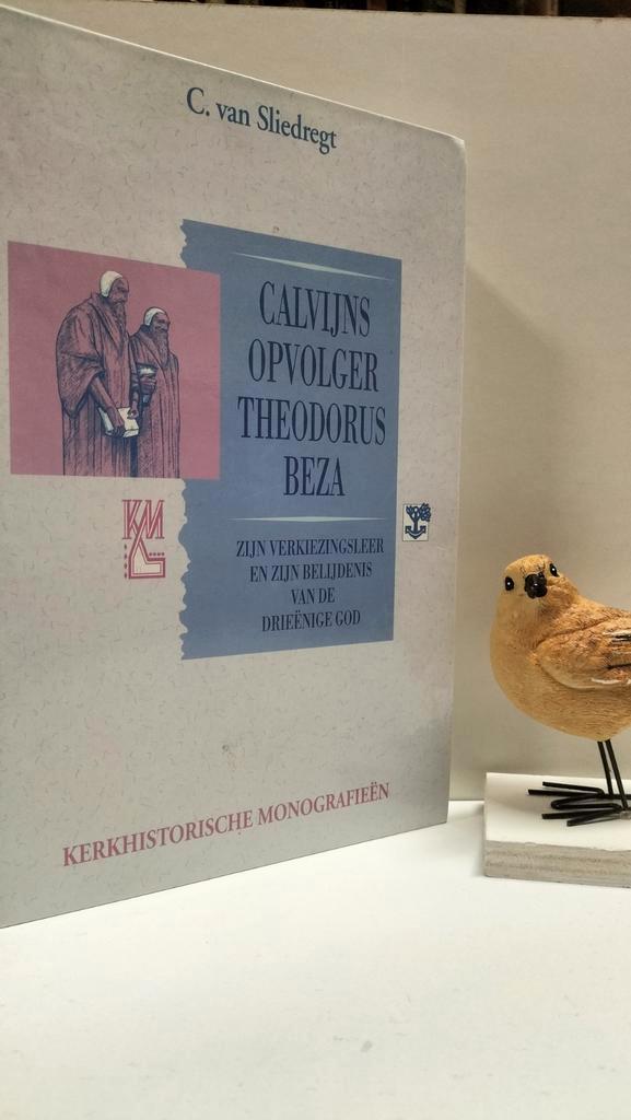 Sliedregt, C.; Calvijns opvolger Theodorus Beza, Boeken, Godsdienst en Theologie, Gelezen, Christendom | Protestants, Ophalen of Verzenden