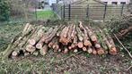 Vogelkers brandhout 150 stère., Stammen, Overige houtsoorten, Verzenden