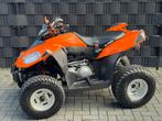 MOOIE ETON VECTOR ST300| AUTOMAAT| AUTO KENTEKEN| GORDEL, Motoren, Quads en Trikes, 300 cc, 1 cilinder, 12 t/m 35 kW