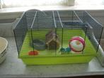 22c kavia kooi  zgan met alles erbij 36x50 cm, Dieren en Toebehoren, Minder dan 60 cm, Kooi, Minder dan 75 cm, Ophalen of Verzenden