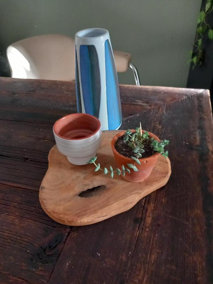 gratis verzenden teak hout onderbord serveerplank boomschijf, Huis en Inrichting, Woonaccessoires | Overige, Nieuw, Ophalen