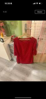 Sweet Miss Maat XL 🟢, Kleding | Dames, Ophalen of Verzenden, Zo goed als nieuw, Maat 46/48 (XL) of groter, Overige typen