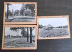 Tilligte, 5 x glasplaat JosPe, café, hooimijt, Ophalen of Verzenden, 1960 tot 1980, Ongelopen, Overijssel