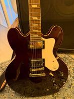 Epiphone Noel Gallagher Riviera!, Ophalen, Nieuw, Semi-solid body, Epiphone