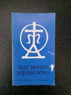 Prof. Dr. P.J. Roscam Abbing - Wat mogen wij geloven?, Christendom | Protestants, Ophalen of Verzenden, Zo goed als nieuw, Roscam Abbing