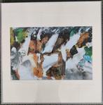 Fraai ingelijste zeefdruk, Ger Lataster - Nummer 10, Antiek en Kunst, Kunst | Litho's en Zeefdrukken, Ophalen