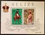 Belize Michelblok 6 postfris, Postzegels en Munten, Verzenden, Postfris, Midden-Amerika