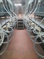 Melkstal GEA voor geit/schaap, Ophalen
