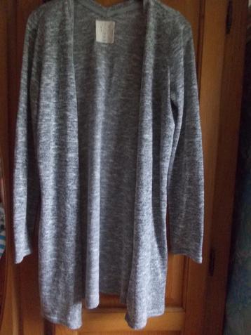 Mooi grijs gemelleerd vest van Anti Blue in maat XS. beschikbaar voor biedingen