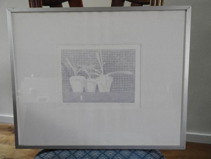 Ets "3 cactussen" - Gesigneerd - Marijke Fast (1950-), Antiek en Kunst, Kunst | Etsen en Gravures, Ophalen of Verzenden