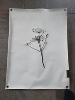 Tuinposter label r, Ophalen of Verzenden