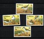 st helena 1993 pf wwf serie vogels birds, Postzegels en Munten, Ophalen of Verzenden, Postfris, Dier of Natuur