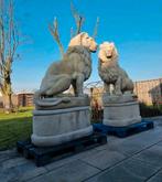 💥🦁 XXL Leeuwen Poortwachters - Tuinbeeld Oprit, Dierenbeeld, Ophalen of Verzenden, Beton, Noordhoek