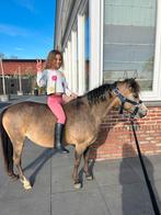 Allerliefste welsh a kinderpony, Dieren en Toebehoren, Ophalen of Verzenden, Springen