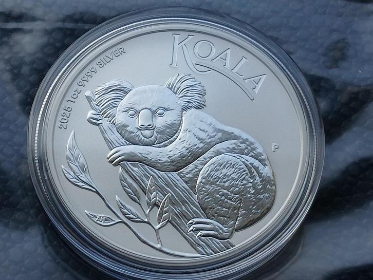 2025 Koala 1 oz silver - Perth Mint, Postzegels en Munten, Munten | Oceanië, Zilver, Ophalen of Verzenden