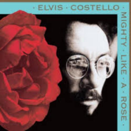 Elvis Costello, Cd's en Dvd's, Cd's | Pop, Gebruikt, Ophalen of Verzenden