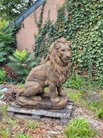 Set oud roest look grote leeuwen, Ophalen of Verzenden, Nieuw, Beton, Dierenbeeld