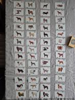 Famous Dogs honden kaartspel., Ophalen of Verzenden, Gebruikt