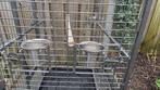 Papagaaienkooi, Dieren en Toebehoren, Vogels | Hokken en Kooien, Ophalen, Vogelkooi