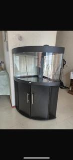 Aquarium NIEUW, Ophalen of Verzenden, Zo goed als nieuw