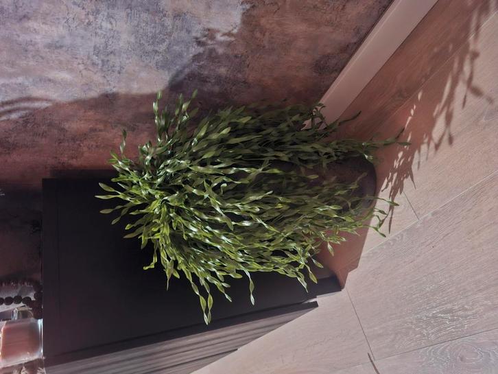 Twee kunstplanten/takken, Huis en Inrichting, Woonaccessoires | Kunstplanten en Kunstbloemen, Nieuw, Binnen, Ophalen of Verzenden