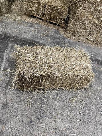 Kleine baaltjes gersten en tarwe stro beschikbaar voor biedingen