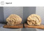 OUD LESMATERIAAL PADDENSTOEL/ ZWAM, Ophalen