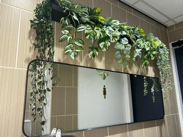 Moderne zwarte spiegel met decoratieve kunstplanten beschikbaar voor biedingen