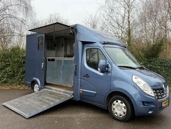Renault Master 2016 paardenwagen Horsetruck Hengsten truck, Dieren en Toebehoren, Paarden en Pony's | Trailers en Aanhangwagens