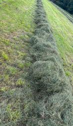 Midibalen voordroog hooi kuilbalen ronde balen midi balen, Ophalen, Vee