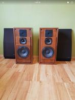 Cabasse Goelette luidsprekers, Zo goed als nieuw, 60 tot 120 watt, Front, Rear of Stereo speakers, Ophalen