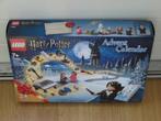 LEGO 75981 Harry Potter Adventskalender 2020 nieuw, Kinderen en Baby's, Speelgoed | Duplo en Lego, Ophalen of Verzenden, Nieuw