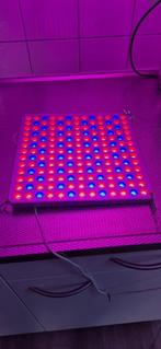 LED Plant Lamp Roleadro 2 Stuks Plant Licht met Rood Blauw, Ophalen of Verzenden, Gebruikt, Kweeklamp